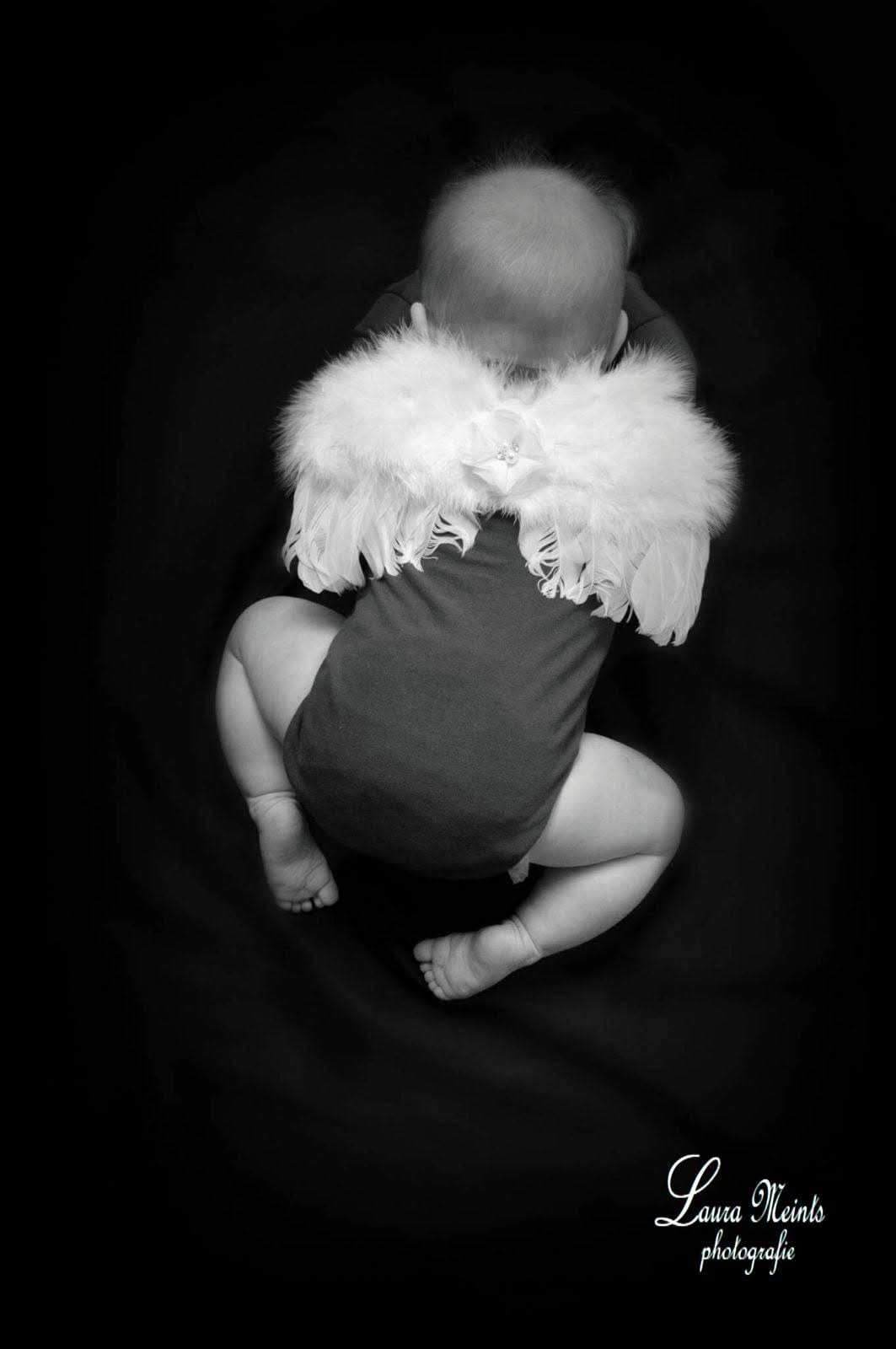 Portfoliofoto 473399971_966053095436673_5977151220185884136_n