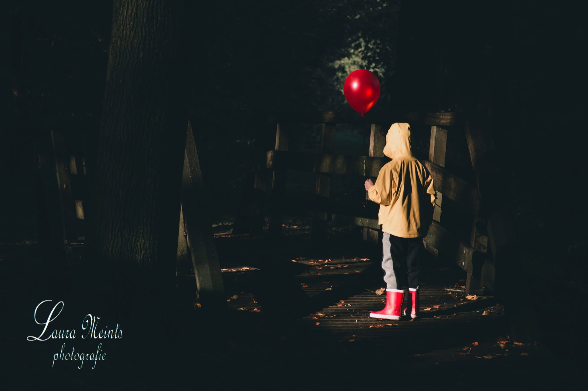 Portfoliofoto 474105213_966725678702748_8109822041506628115_n