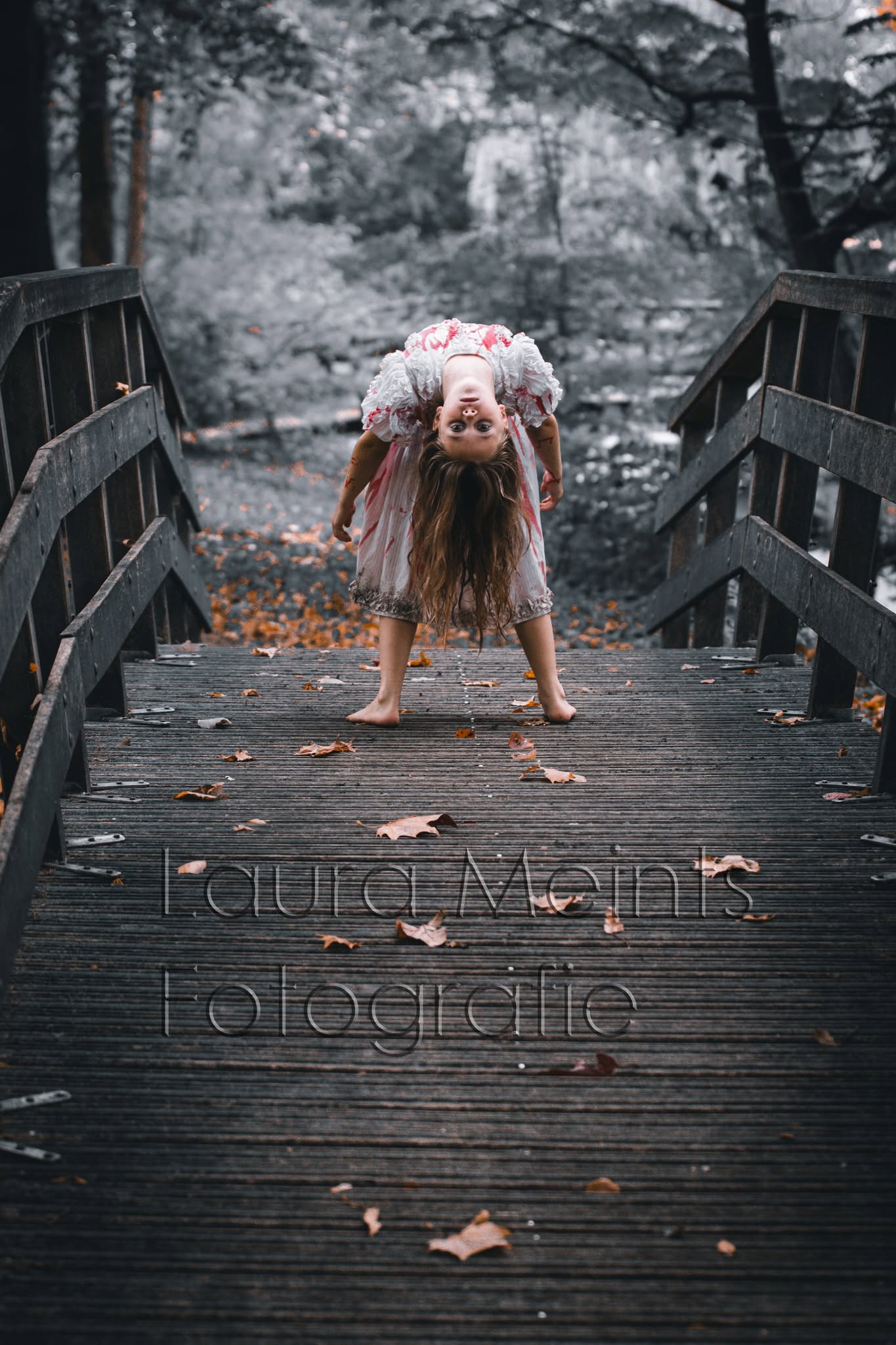 Portfoliofoto 474447651_970213558353960_8770047816146428827_n