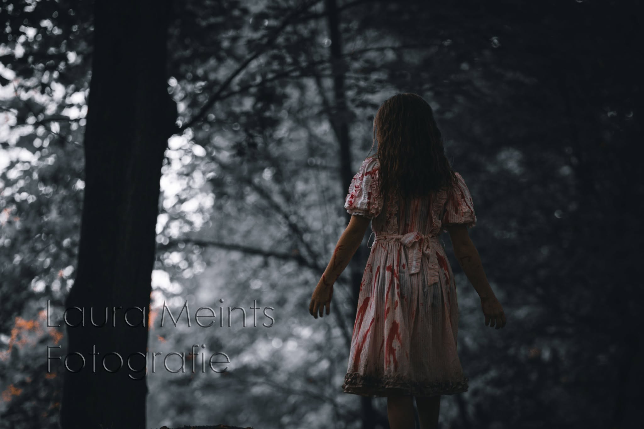 Portfoliofoto 474465745_970213521687297_7831484284793543889_n